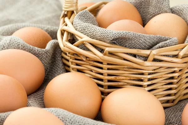 Global Chicken Egg Market Is Soaring Despite the Pandemic